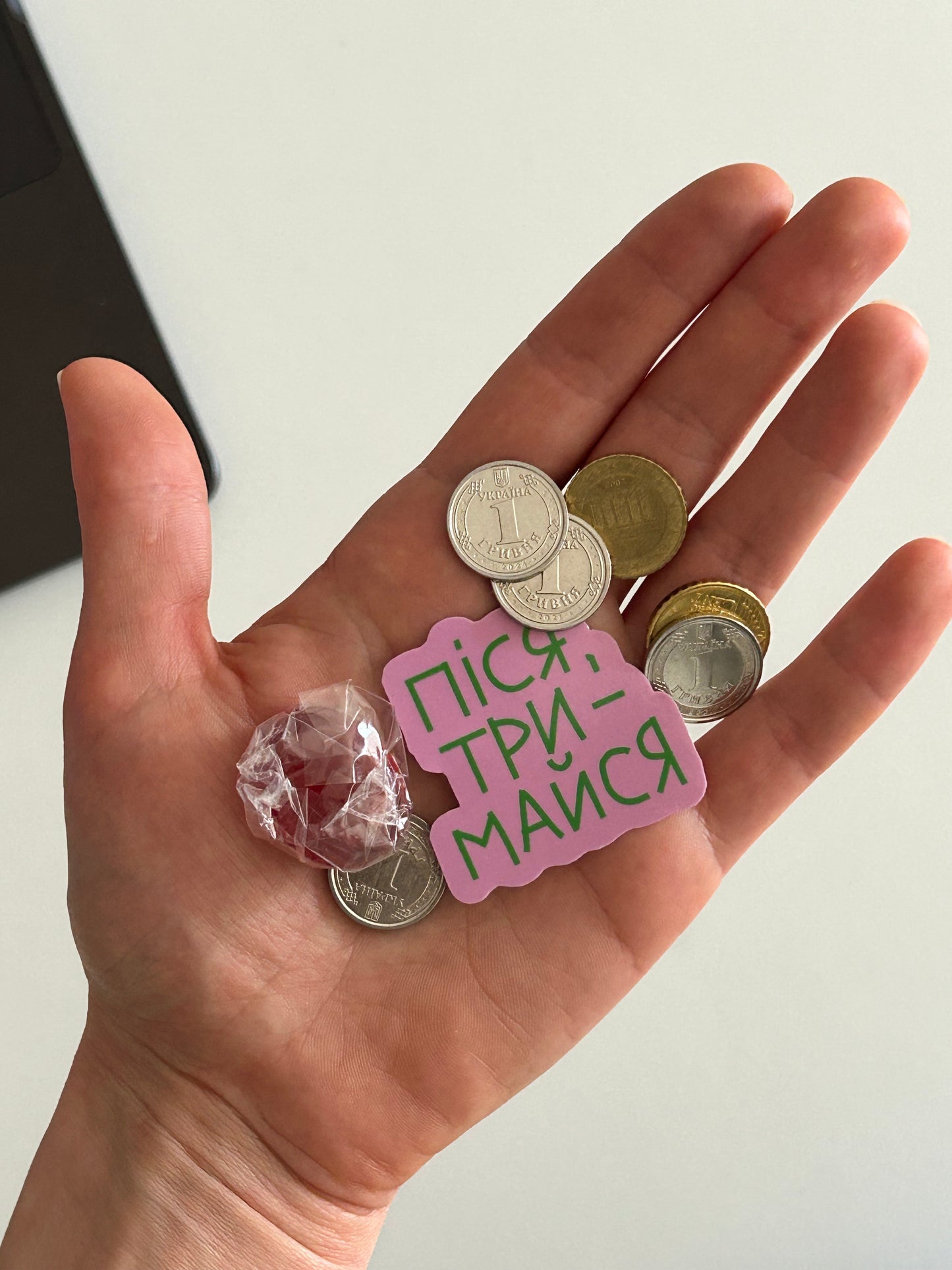 стікер "піся тримайся"