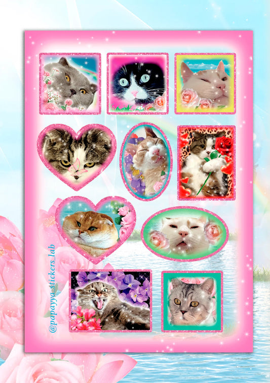 "Silly Cats" стікерпак вініловий