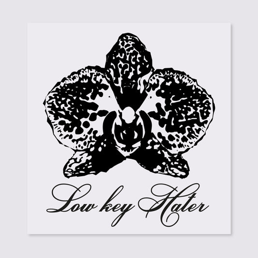 Прозорий стікер "Low key hater"
